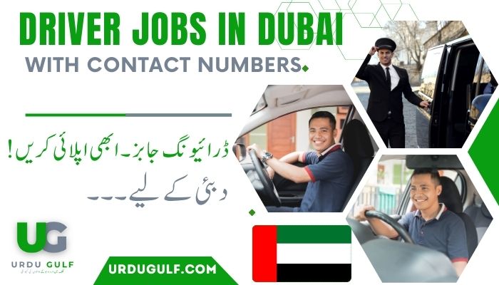Driver Jobs in Dubai with Contact Number at MEDIA ONE HOTEL